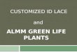 ALMM Specialized ID Lace and ALMM Green Life Plants