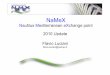 NaMeX overview @ Topix technical committee