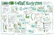LinkedIn TechConnect 13: LinkedIn Content Ecosystem