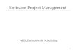 Software Project Management (lecture 4)