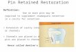 Pin Retained Restoration