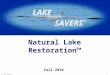 Lake Savers Natural Restoration