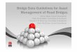 RIMS Update - Bridge Data Guidelines for Asset Management of Road Bridges