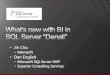 What's New with BI in SQL Server Denali (SQL11)