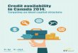 Credit availability in Canada 2014: Targeting an ideal capital structure