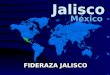 Jalisco México FIDERAZA JALISCO. Nuestros conciudadanos se concentran principalmente en: California (Los Angeles, San Francisco, San José y Fresno) Colorado