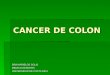 CANCER DE COLON DRA MARIELOS SOLIS MEDICO GERIATRA UNIVERSIDAD DE COSTA RICA