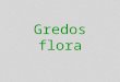 Gredos flora. Bioclimatic Stages/Pisos bioclimáticos The Gredos Mountains have a wide variety of vegetation. If we take into account temperature and precipitation,