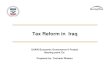 Tax reform in iraq