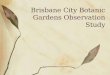 Brisbane City Botanic Gardens Observation Study
