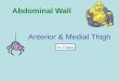 Abd wall, anterior & medial thigh class