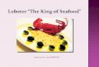 Try Delicious and Scrumptious Maine Lobster Dishes on Special Occasions