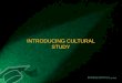 Introducting cultural study