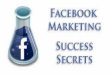 facebook campaigns (successful)