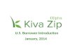 Kiva Zip Borrower Overview