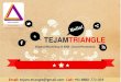 Tejam Triangle : Website, Online Marketing SEO SEM PPC Google Advertisement SMS Email Promotion