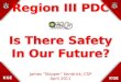 2011 region iii pdc safety future print