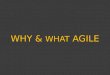 Why & what agile