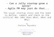 A jelly startup can grow a spine with agile pm' by Stelios Sbyrakis