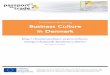 Danish business culture guide - Learn about Denmark
