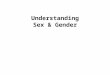 Understanding gender