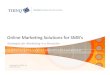 Thinq web marketing ppt (3 2010)