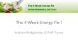 The Alkaline Diet 4 Week Energy Fix by  Andrew Bridgewater & phill turner