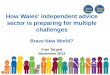 How Wales' independent advice sector is preparing for multiple challenges