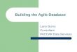 Building The Agile Database