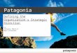 Environmental Differentiation Strategy of Patagonia