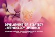 Development of strategy metodology approach l. milanovic