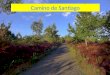 Slideshow Highlights - Walking the Camino de Santiago, Galicia, Spain