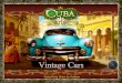 Vintage Cars in Cuba