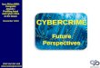 Cybercrime future perspectives