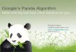 Google's Panda Algorithm