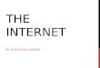 The Internet Huerta