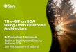 TH e-GIF on SOA Using Open Enterprise Architecture