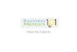 Business Mentors 101 Experts