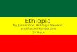Ethiopia official
