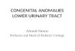 2 congenital anomalies lower