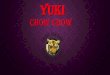 YUKI THE CHOW CHOW