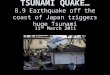 Japan eq and tsunami