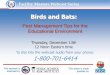 Birds and Bats: Pest Management Tips for the Educational Environment