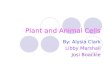 Alysia, Josi, and Libby- Plant and Animal Cells Power Point