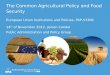 The common agricultural policy and food security