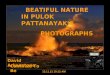 Beautiful nature in pulok pattanayak's photographs (nx power lite)
