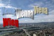 Highlights of Vienna