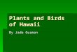 Plants And Birds Of Hawaii