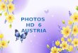 Photos hd 6 (austria)