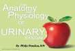 Anatomy and physiology of urinary system
